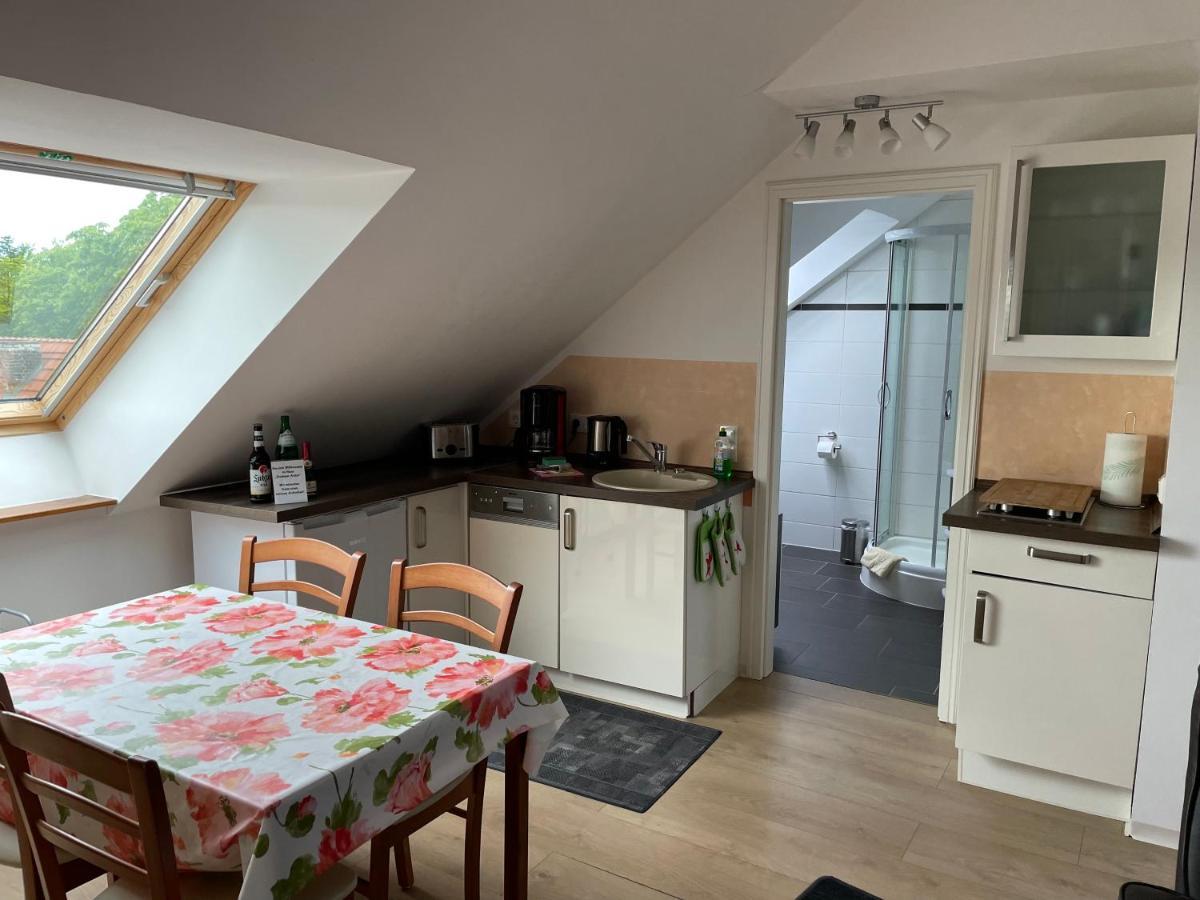 Goldener Anker, Verschiedene Gemuetliche Ferienwohnungen ラインスベルク エクステリア 写真