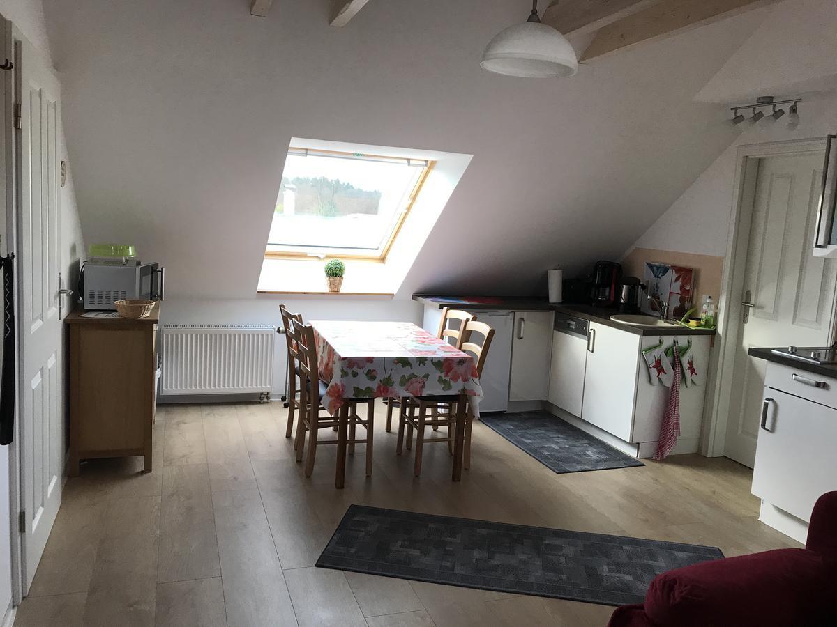 Goldener Anker, Verschiedene Gemuetliche Ferienwohnungen ラインスベルク エクステリア 写真