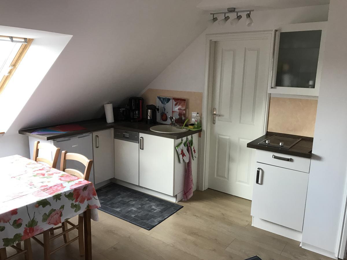 Goldener Anker, Verschiedene Gemuetliche Ferienwohnungen ラインスベルク エクステリア 写真